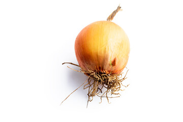 on a white background. No isolation. Onion head. Long storage, spoiled, numb. Close-up.