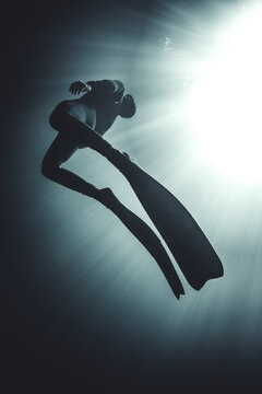 Low angle view of diver swimming undersea