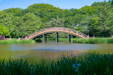 Fototapeta premium 横浜市 称名寺 反橋