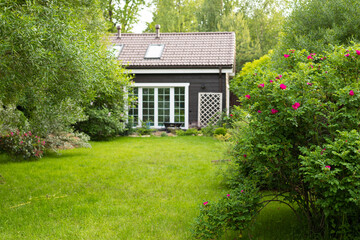 Cottage garden lawn with multicolored flowering bushes
