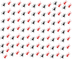 ANT BACKGROUND