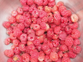 fresh raspberries in bowls. the summer harvest