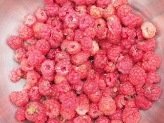 fresh raspberries in bowls. the summer harvest
