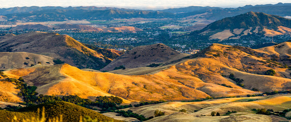 Grassland of rolling golden hills, panorama 