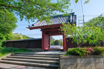 横浜市 称名寺 赤門