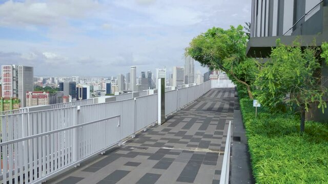Amazing Rooftop Garden