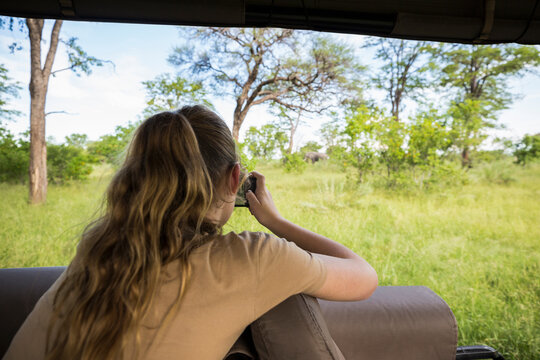 Rear view of a thirteen year old girl photographing elephants under trees, from a safari jeep