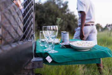 snacks and drinks on fold out table, safari vehicle, Botswana