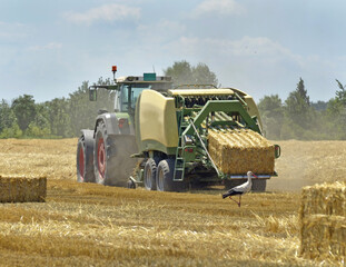 Combine harvester on a wheat field