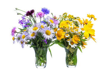 Bouquets of wild flowers in glass vases on a white background