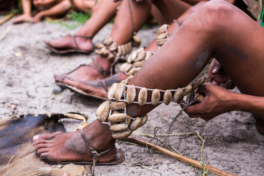 Leg decorations, traditional tribal ceremonial garters worn by the San People bushmen.