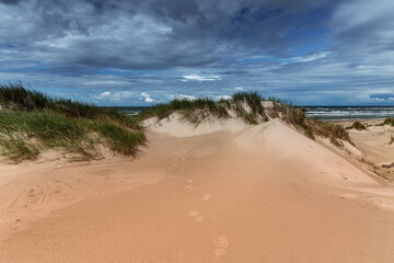 Dunes at Baltic sea coast in Liepaja, Latvia.