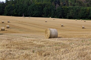 bales of straw