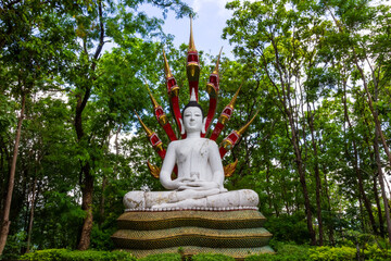 Wat Analayo Thipphayaram or Analayo Temple is on Doi Busarakam, Phayao province , Thailand
