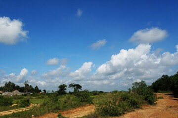 Fototapeta na wymiar landscape with blue sky and white clouds