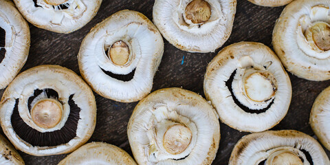 fresh mushrooms champignons harvest food background copy space organic eating healthy raw keto or paleo diet