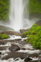 Latorell falls in the Columbia River Gorge Natioanl Scenic Area, Oregon.