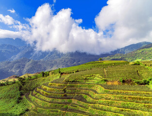 Vietnam landscapes Rice fields on terraced