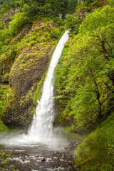 Horsetail falls in the Columbia River Gorge Natioanl Scenic Area, Oregon.