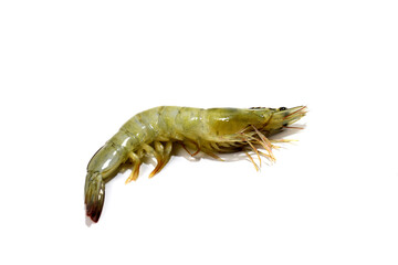 Shrimp isolated on a white background