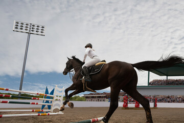 Equestrian sport - young girl rides on horse.