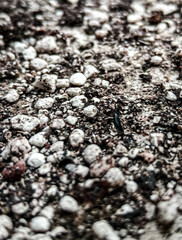 stone texture background