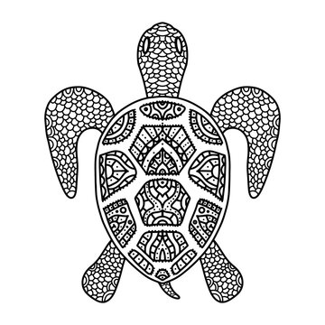 Vector black and white coloring turtle coloring doodle zentangle for adults and children. Patterned turtle shell with fine details and ornament isolated.