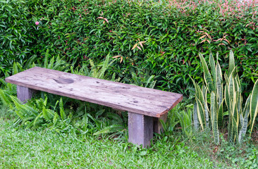 Fototapeta premium Small wooden bench in the backyard garden.