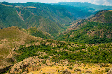 Naklejka premium rice field in thailand