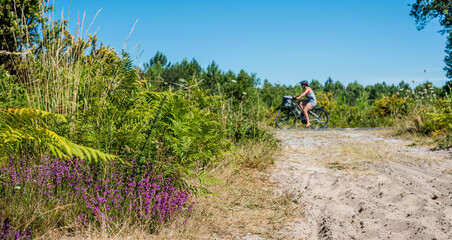 Obraz premium people cycling on the bike paths in the forest