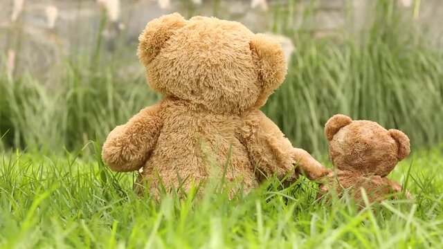 teddy bears teddy. father and son living together in the garden