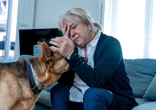 Depressed Lonely Senior Woman In Isolation At Home With Pet Dog As Only Companion