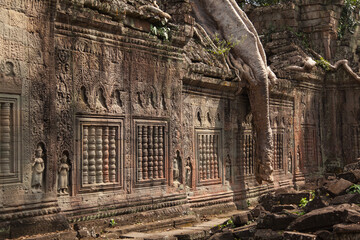 Ta Prohm, Angkor Wat, Cambodia, trees engulfing the temple structures with roots
