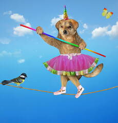The beige dog unicorn acrobat in ballet dancer clothes with a pole is walking on the tightrope. A bird is on the rope too. Sky background.