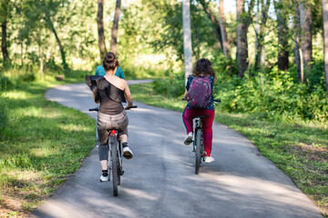Two girl friends riding their bicycles in a park in summer in the sunny morning.