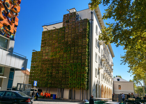 Vertical Garden On The Building On Agmashenebeli Avenue In Tbilisi. Georgia