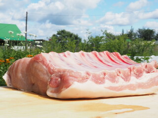 a piece of fresh pork loin on the bone. cooking meat in nature. against the background of greenery and clouds.