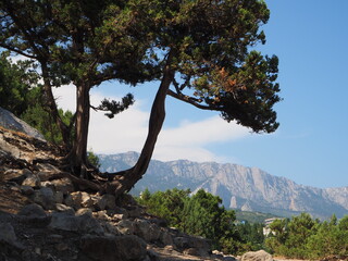 Black sea, Crimea, travel in Russia