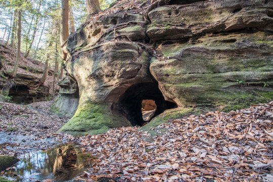 A sandstone arch in a creek bed at Mammoth Cave National Park.