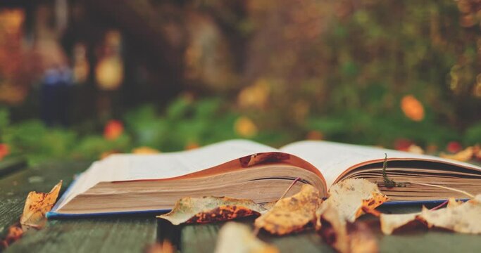 Book Pages Turning In The Autumn Wind, Close Up. SLOW MOTION. Open book on an old table covered with fallen yellow leaves. Cozy magical fall aesthetics. 