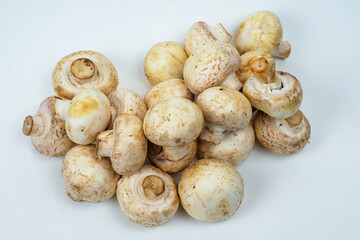 Pile of mushrooms on the white surface