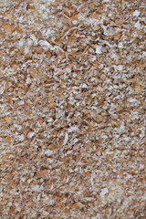 Dried grain wheat sprouts close up
