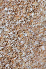 Dried grain wheat sprouts close up
