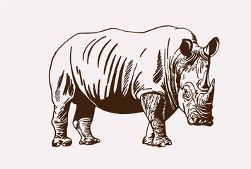 Fototapeta na wymiar Graphical vintage rhino ,sepia background, vector illustration