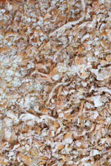 Dried grain wheat sprouts close up