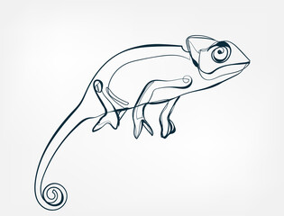 chameleon line one art isolated vector illustration