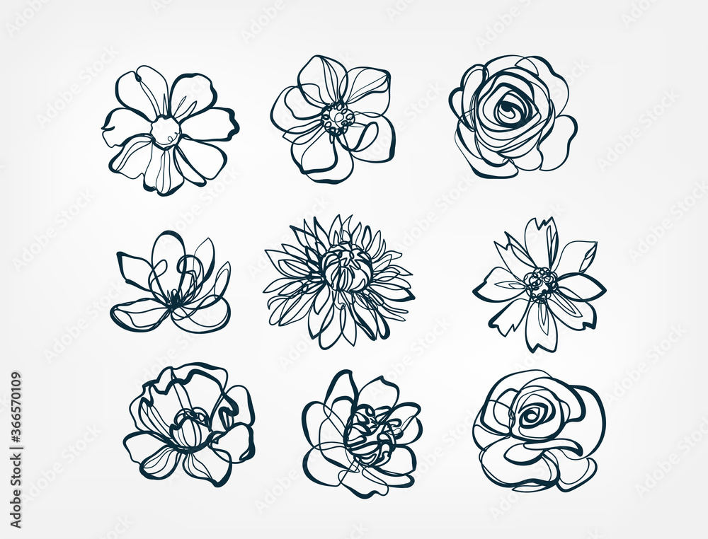 Wall mural flower set line one art isolated vector illustration