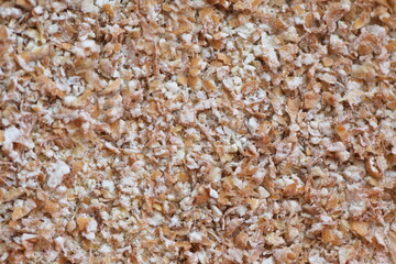 Dried grain wheat sprouts close up
