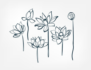 flower lotus line one art isolated vector illustration - 366570139