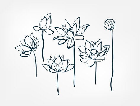 flower lotus line one art isolated vector illustration